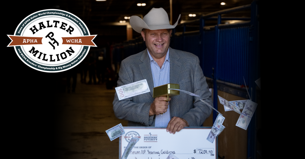 Paints cashed in at the 2024 APHA/WCHA Halter Million