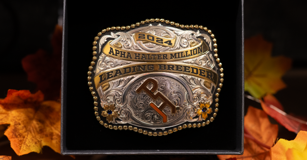 Three leading owner, breeder & exhibitor titles awarded at 2024 Halter Million