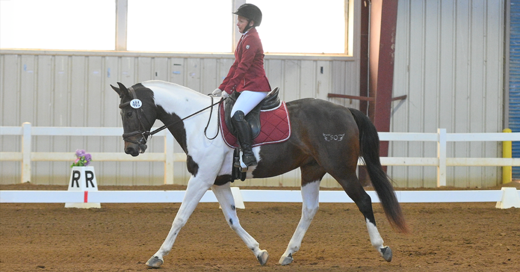 2024 USDF All-Breeds Awards: Paint Horses bring chrome to the dressage ring