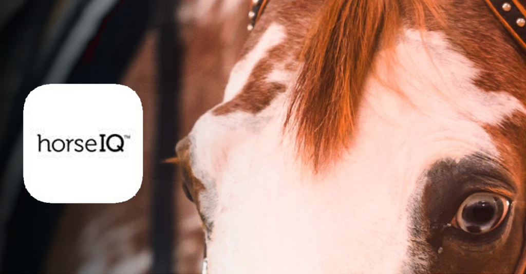 horseIQ releases mobile app