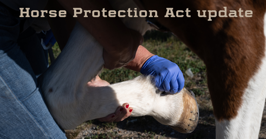 Horse Protection Act Modifications