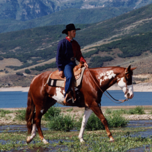 2025 APHA HOF Mister Mister