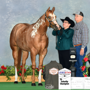 2025 APHA HOF Sue Drawdy