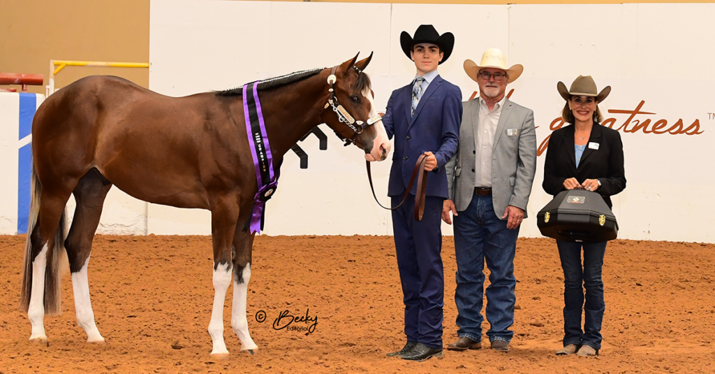 AjPHA Youth Futurity Project Colten Dulin & Canter Culture