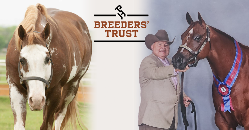 2024 Breeders’ Trust