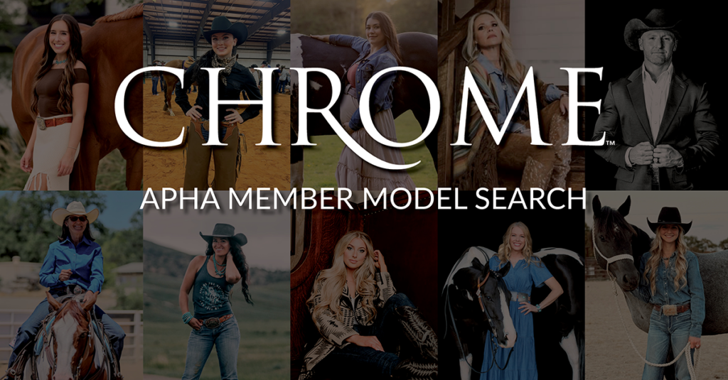 2025 Chrome Model Search