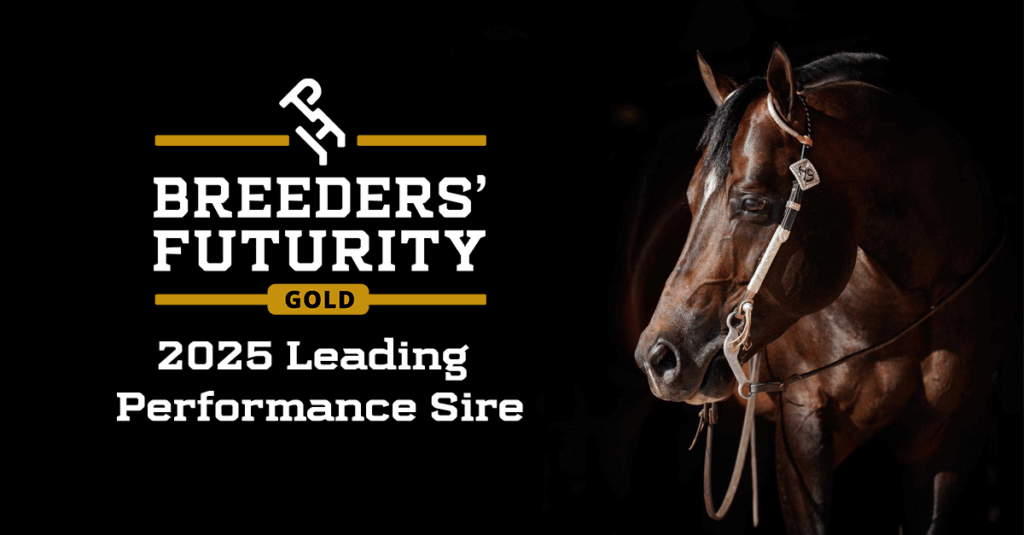 VQH Heart Stoppin 2025 Gold Breeders' Futurity Leading Performance Sire