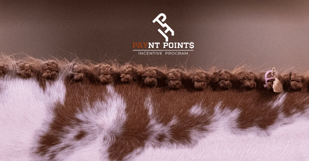 Paynt Points