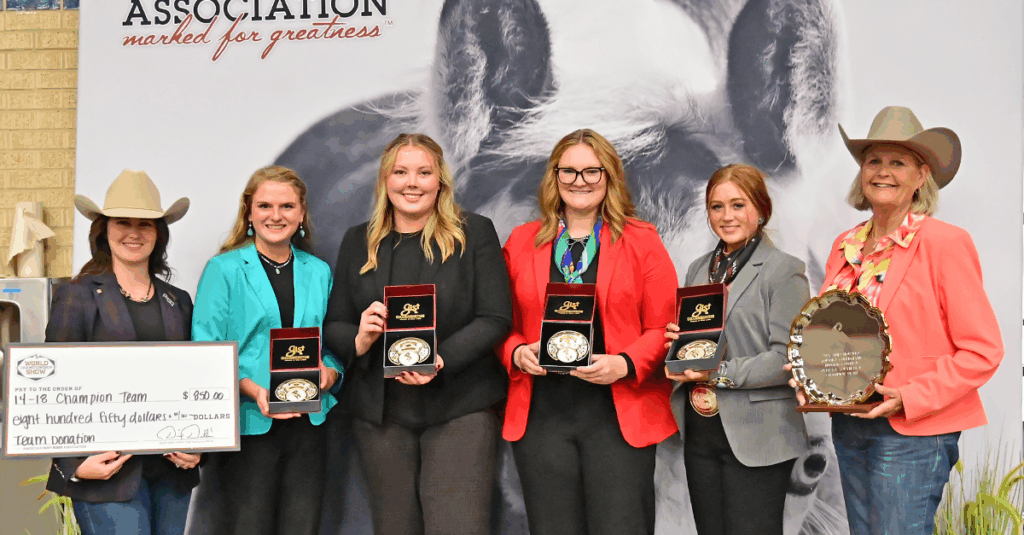 horseIQ judging 2025