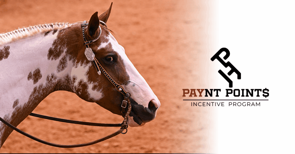 Paynt Points Color Bonus