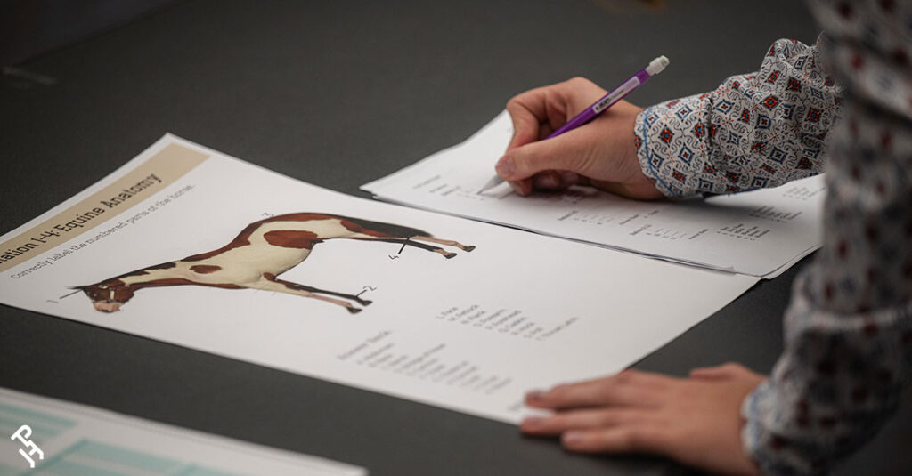 2025 horseIQ Hippology