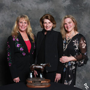 Iconic Color partners