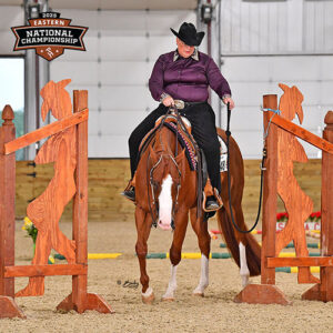 Second-half Paynt Points 2025