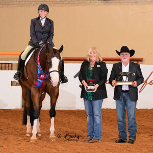 Laurie Roden 2025 Amateur Walk-Trot Hunter Under Saddle