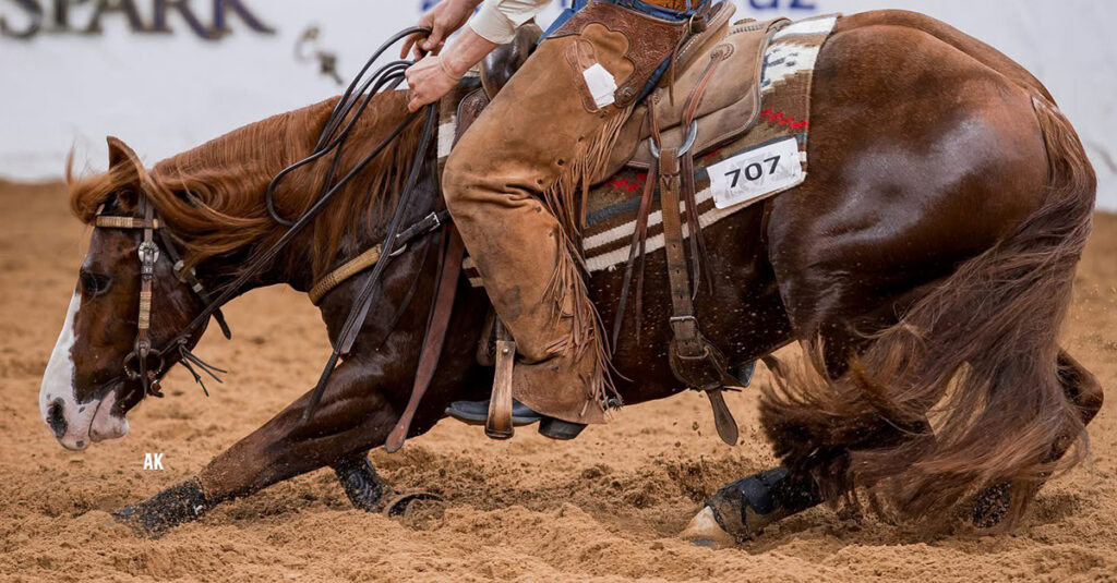 2026 NRCHA Celebration of Champions.