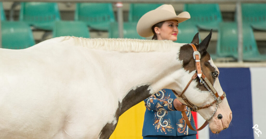 2026 early implementation rules