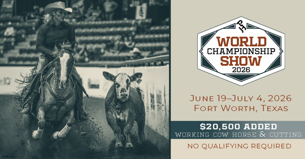 2026 World Show cow horse