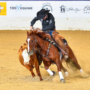 2026 NRCHA Stallion Stakes