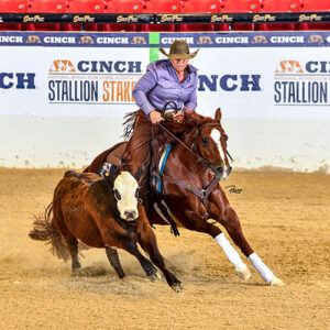 2026 NRCHA Stallion Stakes