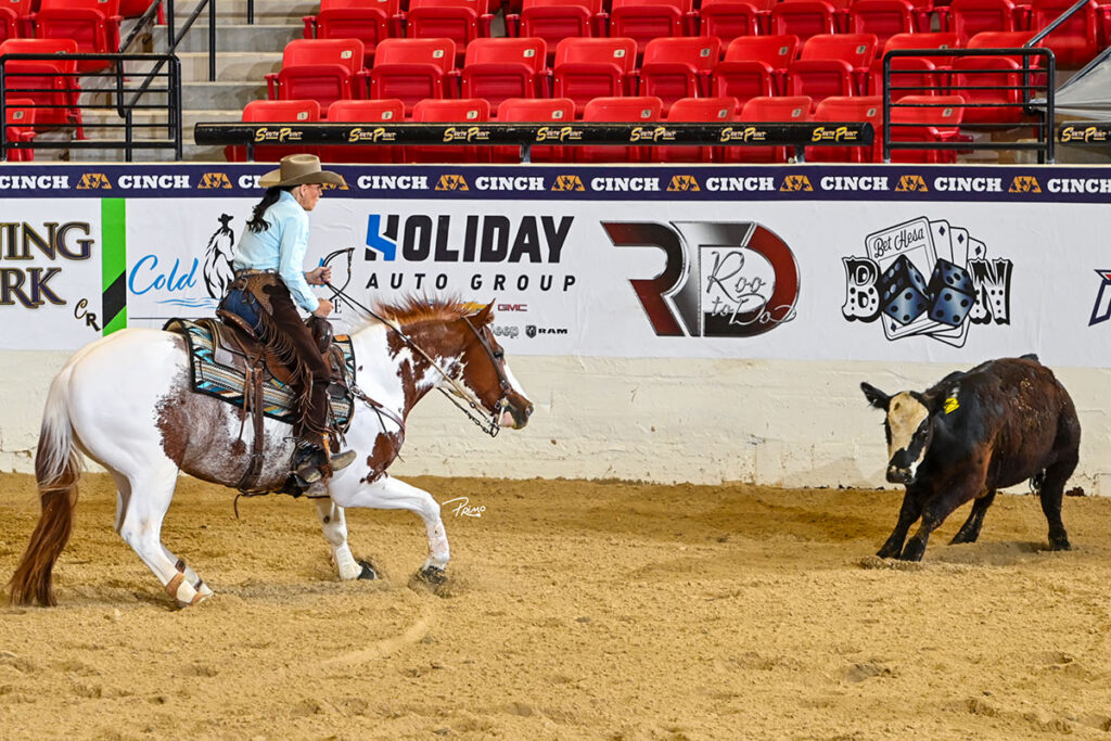 2026 NRCHA Stallion Stakes Will Kane