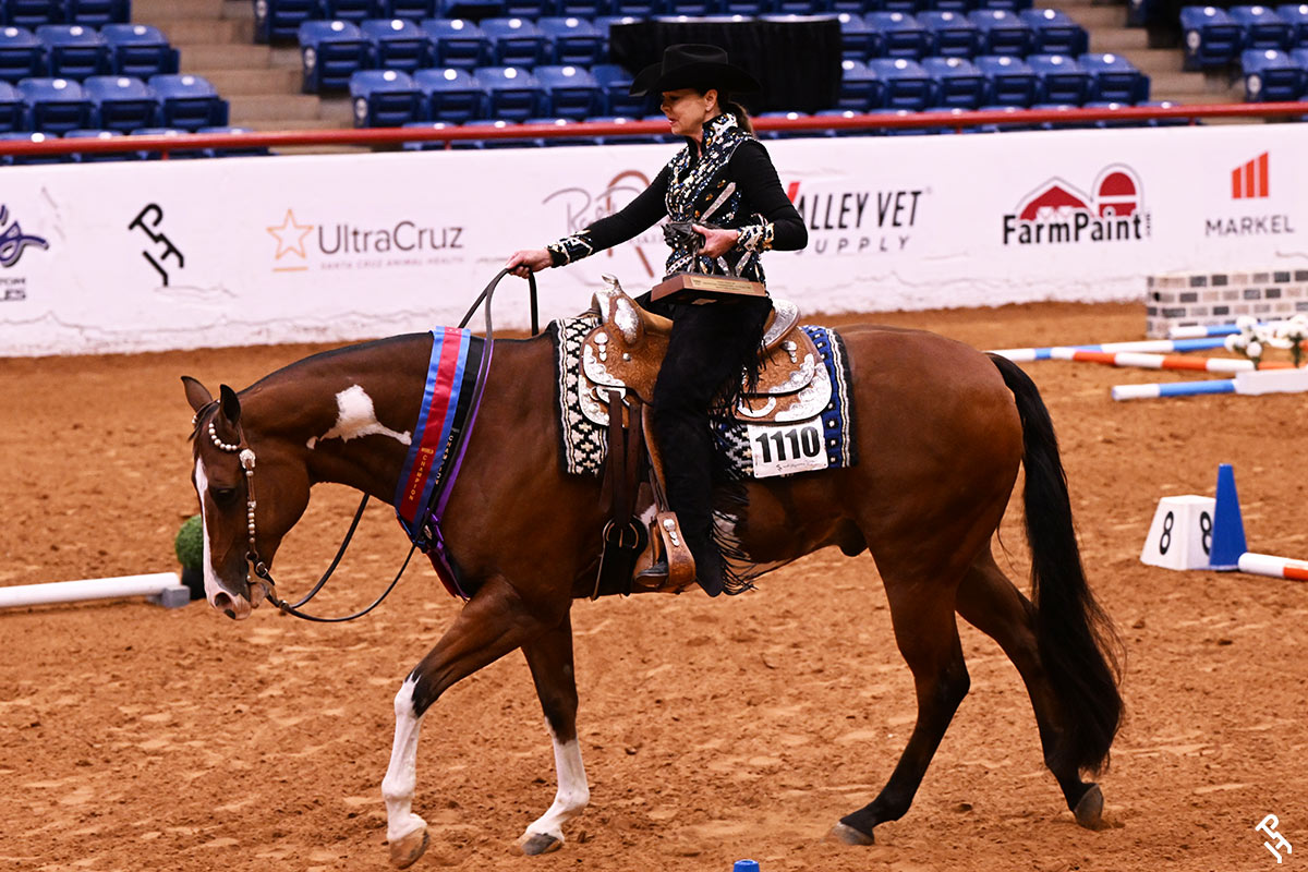My Senior Horse Awards 2026