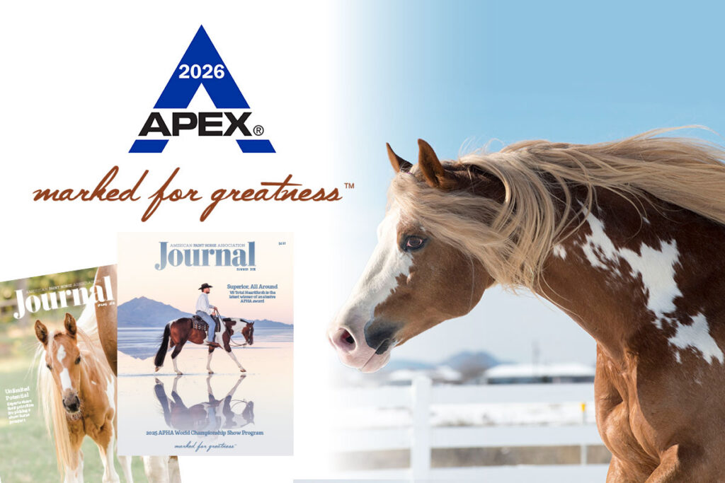 2026 Apex Awards