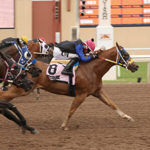 2026 Speedhorse Graham Cuz Eyema Cowboy Baby