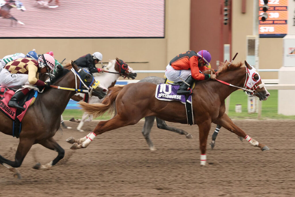 2026 Speedhorse Graham Futurity MW Bcause Im Alive