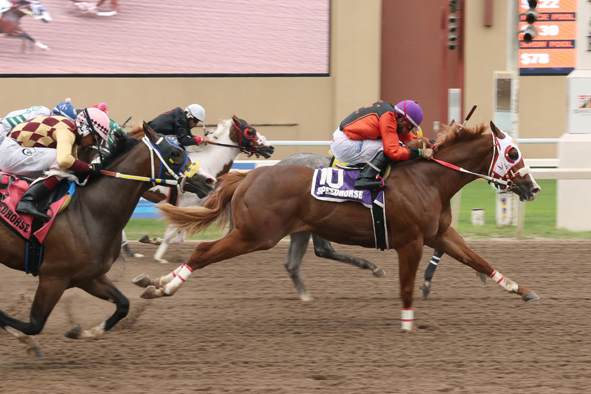 2026 Speedhorse Graham Futurity MW Bcause Im Alive