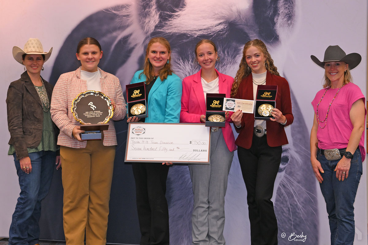 2026 horseIQ Youth Judging Contest
