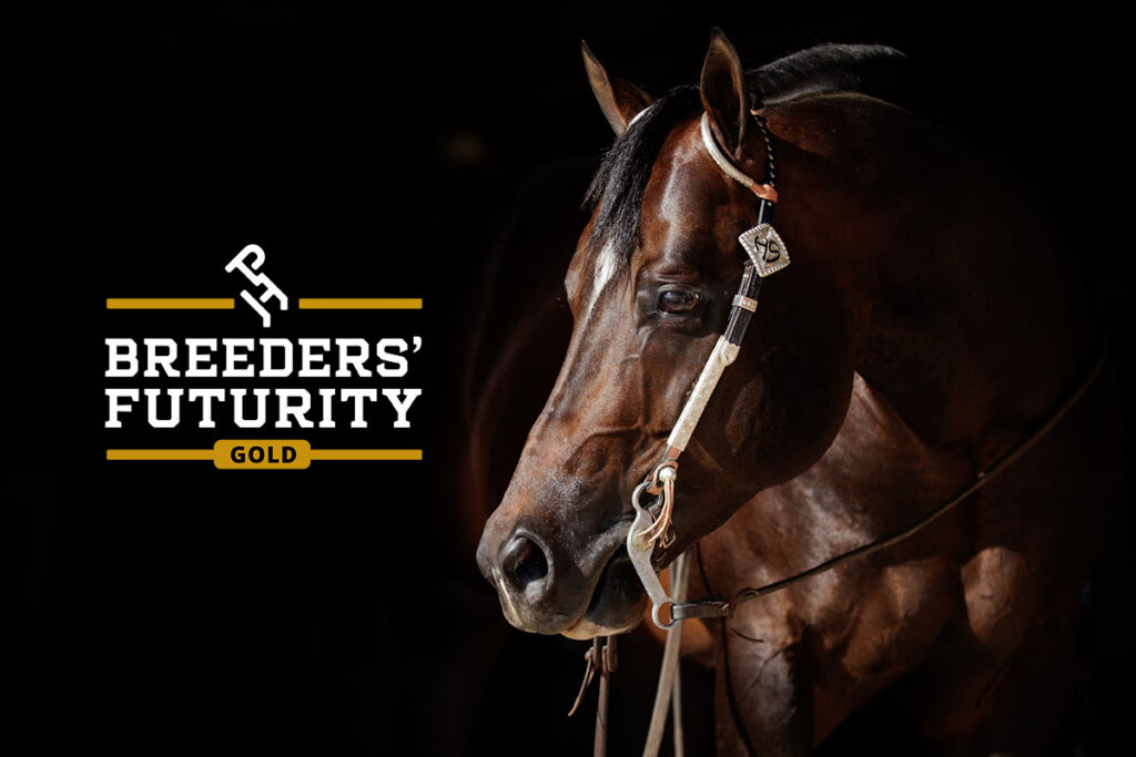 VQH Heart Stoppin Gold Breeders' Futurity Leading Performance Sire