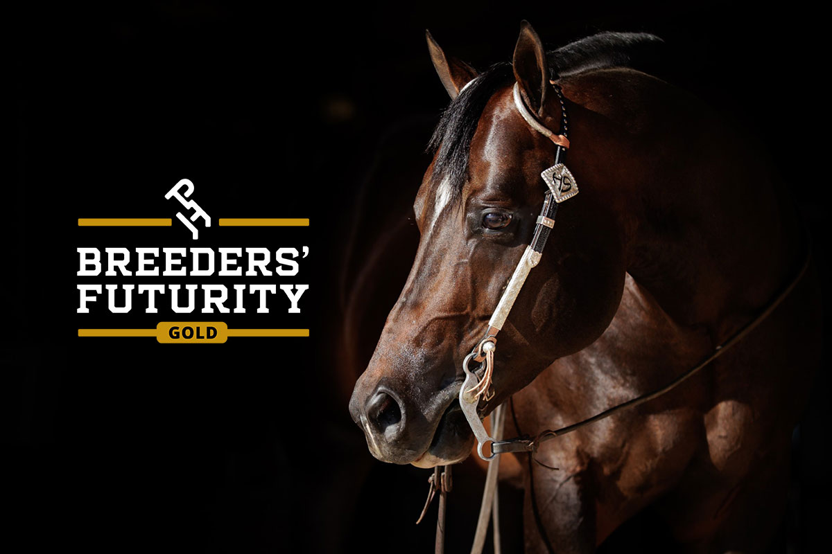 VQH Heart Stoppin Gold Breeders' Futurity Leading Performance Sire