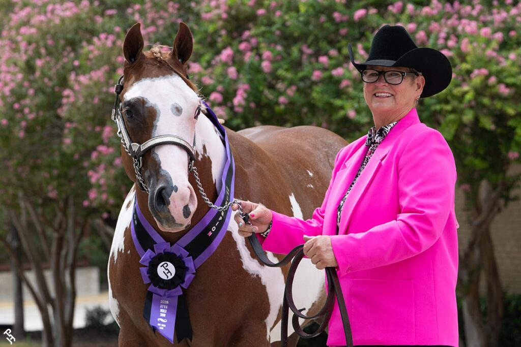 2026 Halter Million